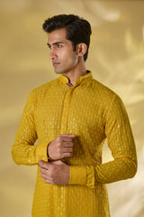 HALDI YELLOW GORGETTE THREAD+ SEQUIN