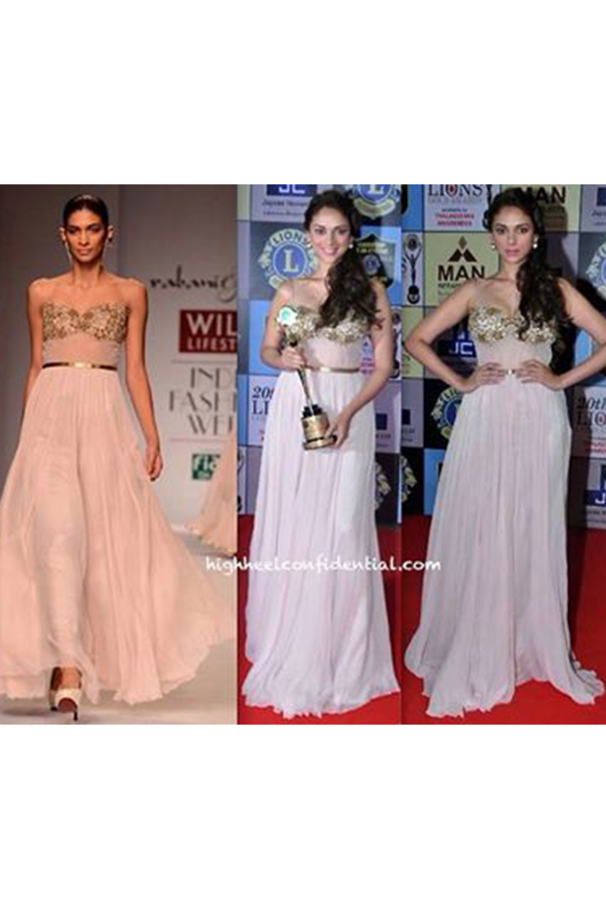 Aditi Rao Hydari In Chiffon Gown