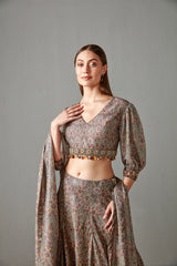 Multi-Color Printed Lehenga Set