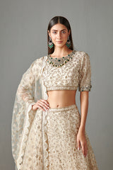Ivory Embellished Lehenga Set