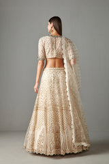 Ivory Embellished Lehenga Set