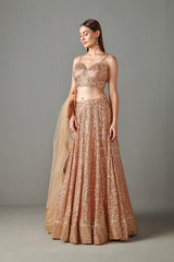 Gold Mirror Work Lehenga Set