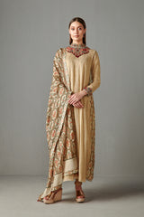 Gold Embellished Suit Set