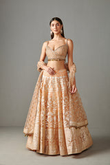 Peach Banarasi Lehenga Set
