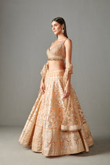Peach Banarasi Lehenga Set