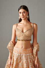 Peach Banarasi Lehenga Set