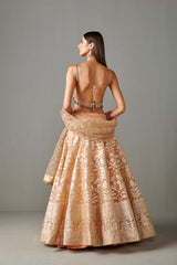 Peach Banarasi Lehenga Set