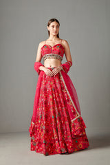 Rani Embellished Lehenga Set