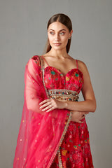 Rani Embellished Lehenga Set