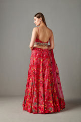 Rani Embellished Lehenga Set