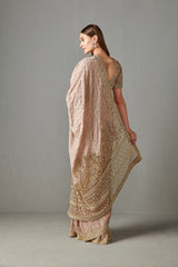 Salmon Embellished Saree Set