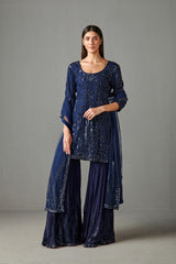 Blue Embellished Gharara Set