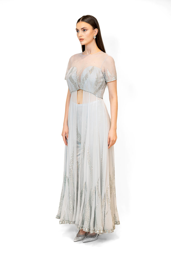Grey net gowns online shopping