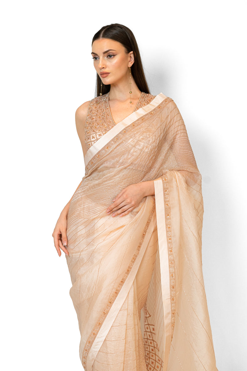 Blush Pink Organza ZAYNAB SARI SET