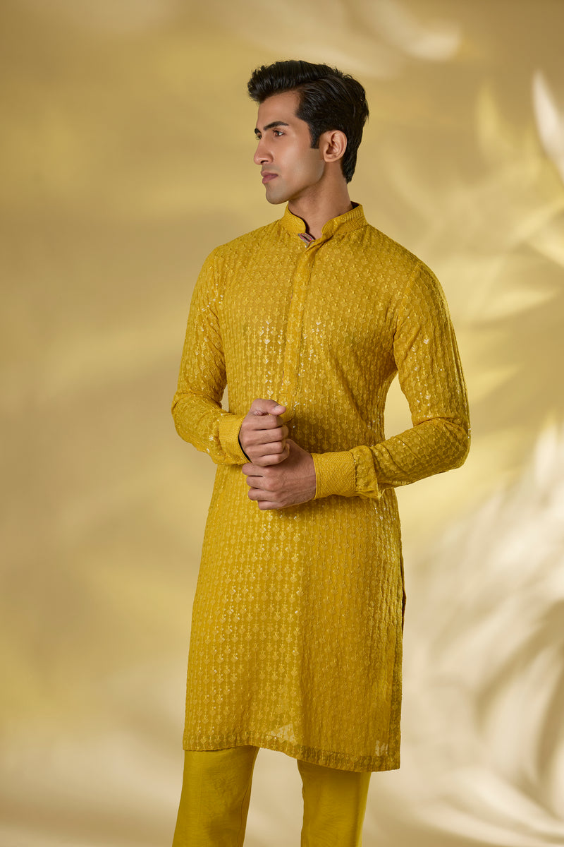 HALDI YELLOW GORGETTE THREAD+ SEQUIN