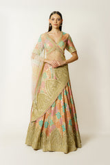 Nadia multicolor lehenga set
