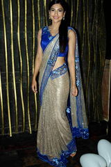 Gauhar Khan In Mesh Sari Set
