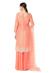 Ayat Kurta With Sharara Set