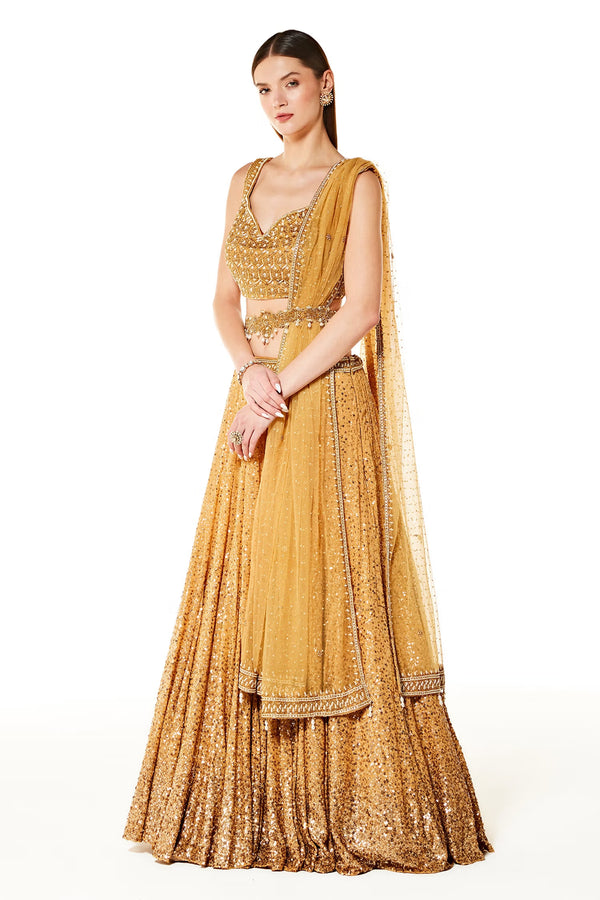 aliza collection