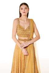 aliza collection