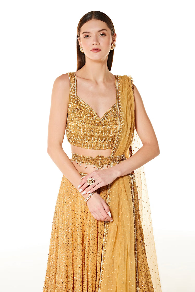 aliza collection