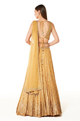 aliza collection
