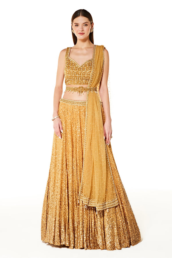 aliza collection