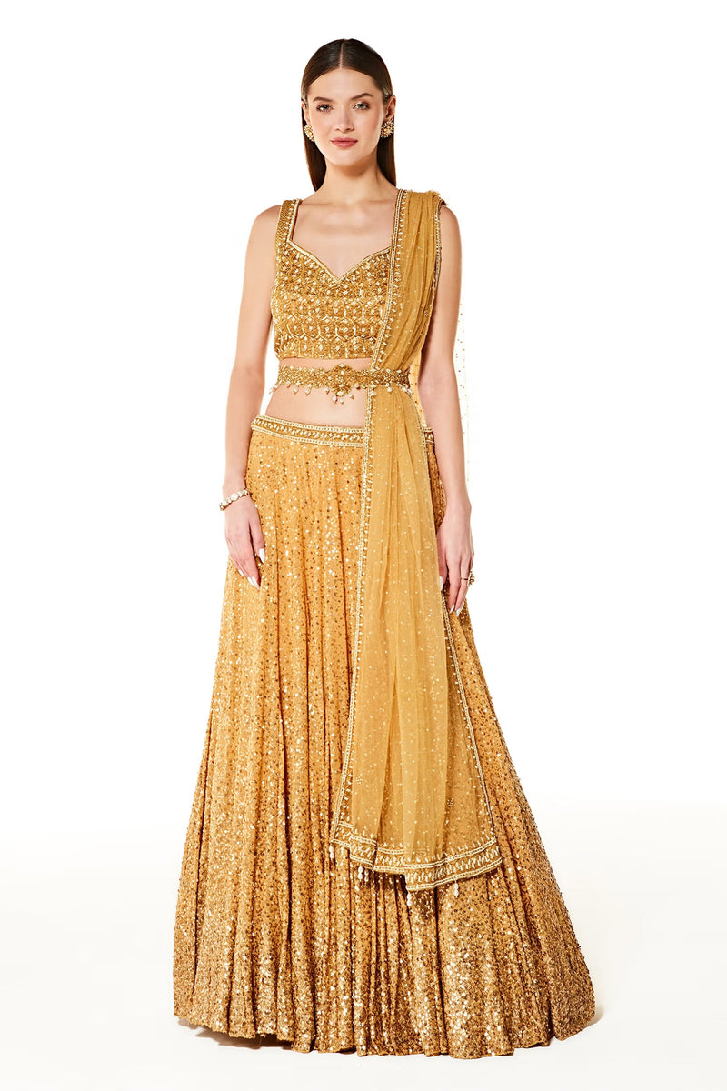 aliza collection