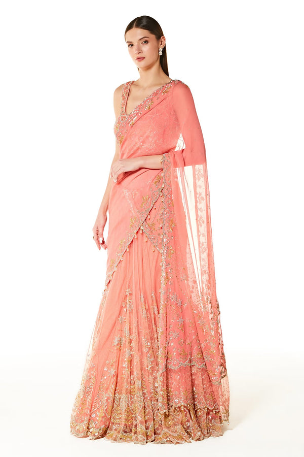 aliza collection