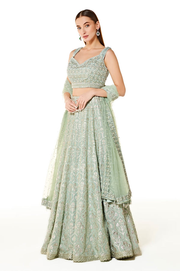 aliza collection