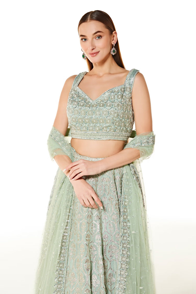 aliza collection