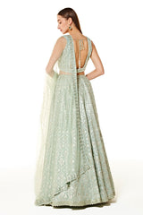 aliza collection
