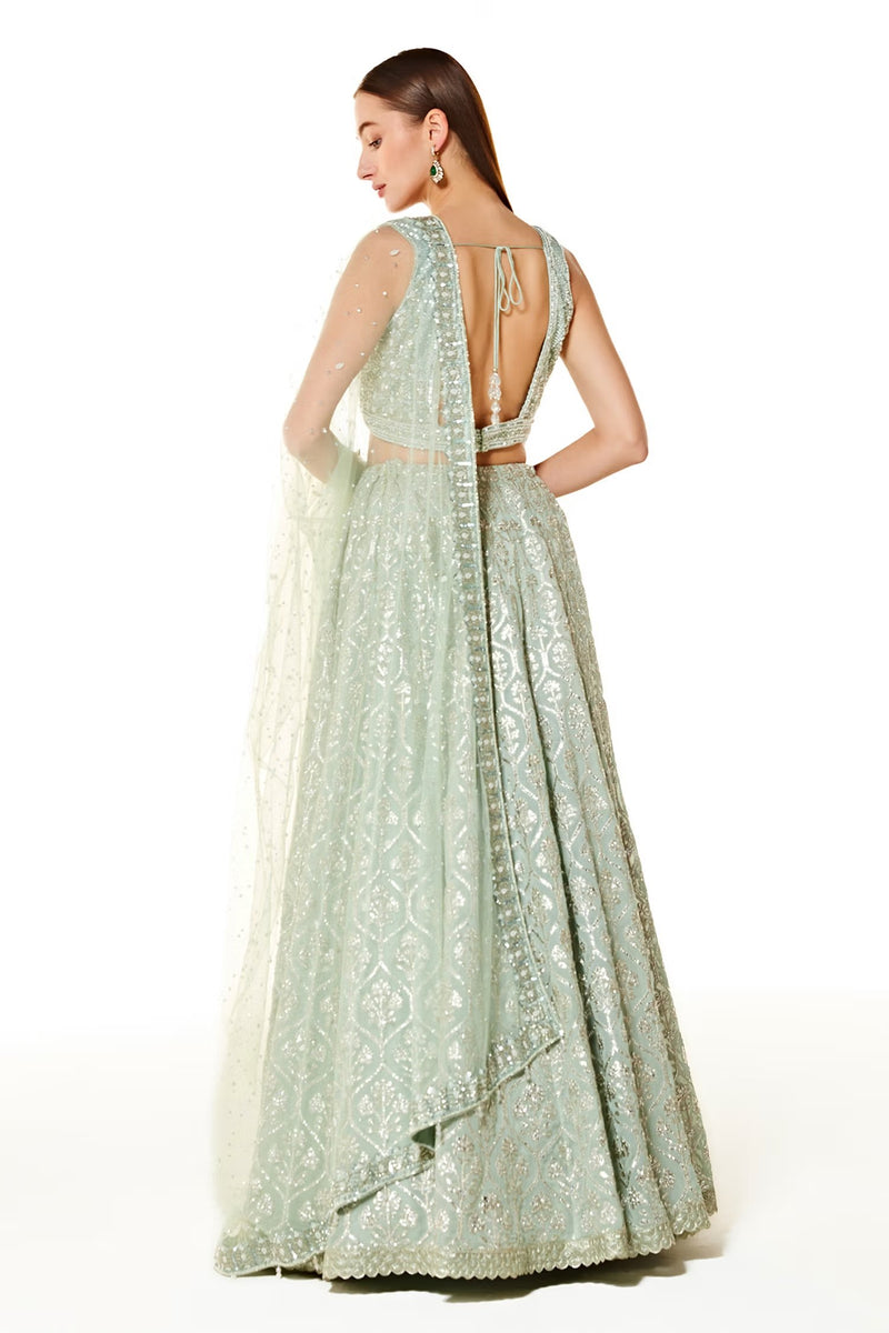 aliza collection