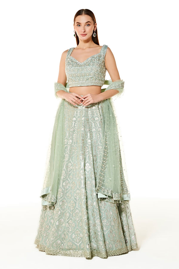 aliza collection