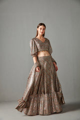 Multi-Color Printed Lehenga Set
