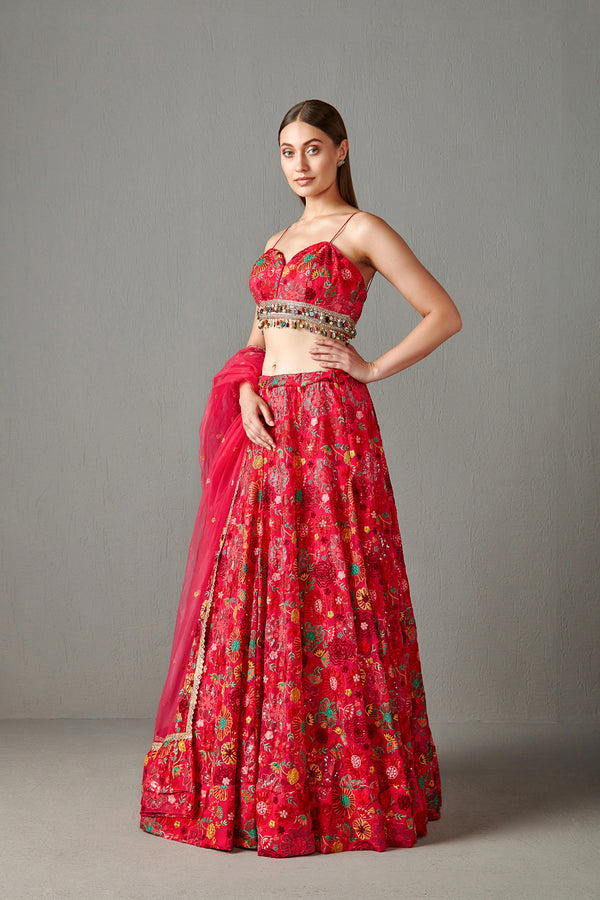 Rani Embellished Lehenga Set