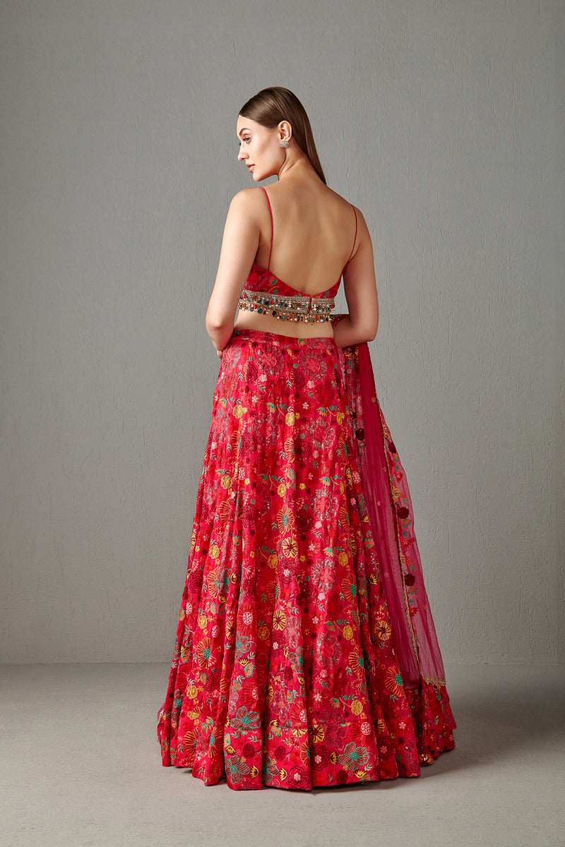 Rani Embellished Lehenga Set
